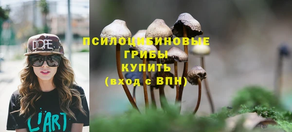 крисы Лихославль