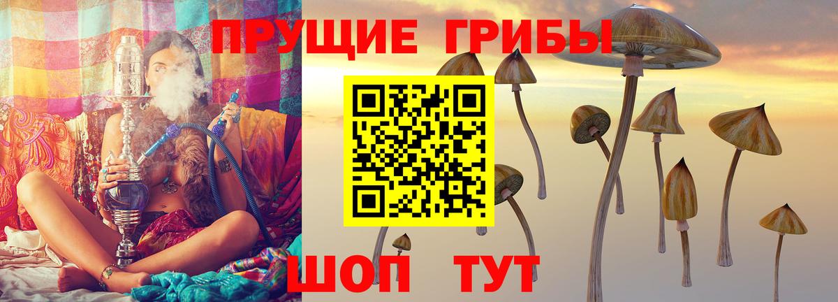 Псилоцибиновые грибы Magic Shrooms Ухта